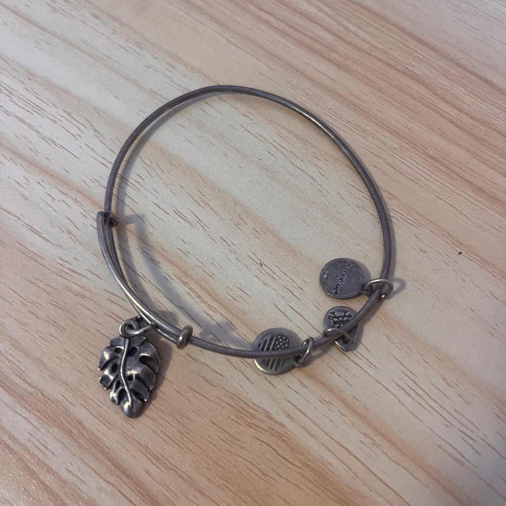 Used Alex and Ani